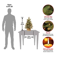 2ft. Pre-lit Glittery Bristle® Pine & Burlap Artificial Christmas Tree, Warm White LED Lights