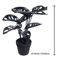 14.5" Potted Broken Heart Monstera by Ashland®