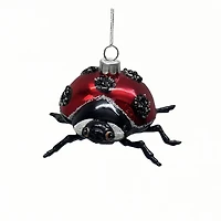 3.75" Red & Black Ladybug Glass Ornament by Ashland®