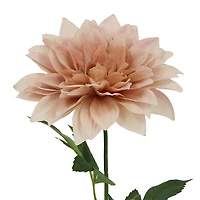 25" Cream Dahlia Real Touch Stem by Ashland®