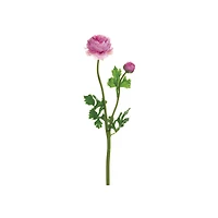  Dark Pink Ranunculus Spray 