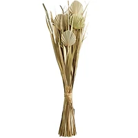 40" Green Dried Plant Bouquet Grass Natural Foliage with Fan Like Palm Leaves