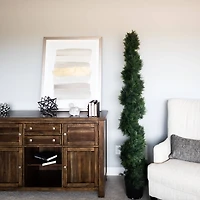 6ft. Potted Green Cedar Spiral Tree