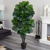 5ft. Potted Fiddle Leaf Fig Tree