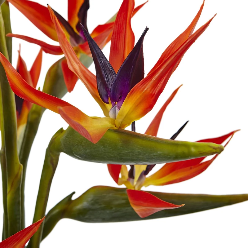 2.5ft. Bird of Paradise Flowers in Glass Cylinder Vase