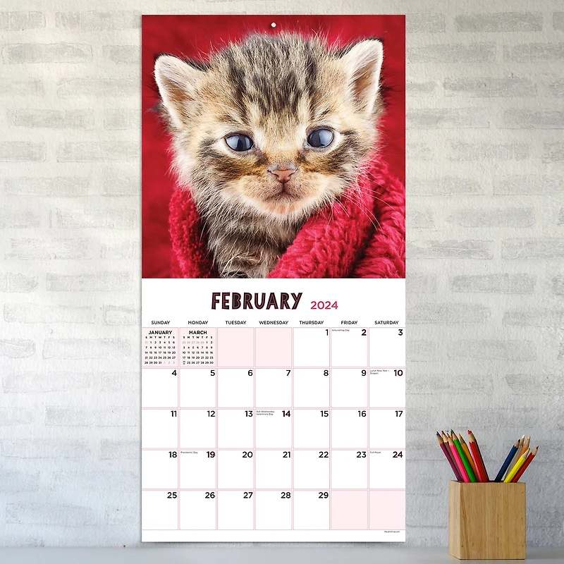 TF Publishing Kittens Wall Calendar