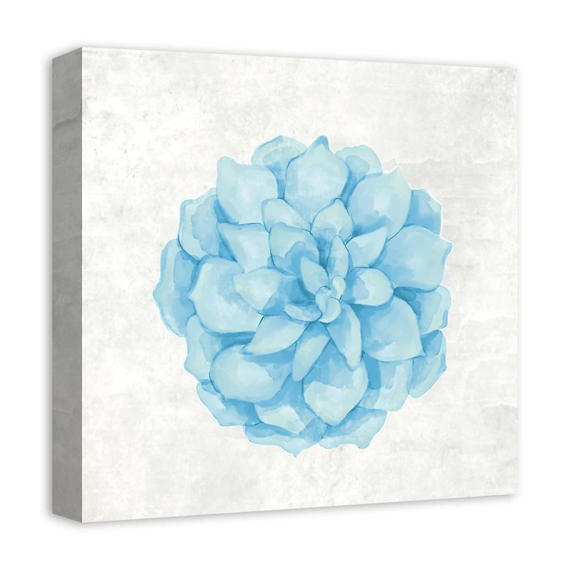 Soft Blue Succulent 16" x 16" Canvas Wall Art