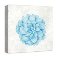 Soft Blue Succulent 16" x 16" Canvas Wall Art