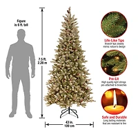 7.5 ft. Pre-Lit Flocked Dunhill® Fir Slim Artificial Christmas Tree, Clear Lights