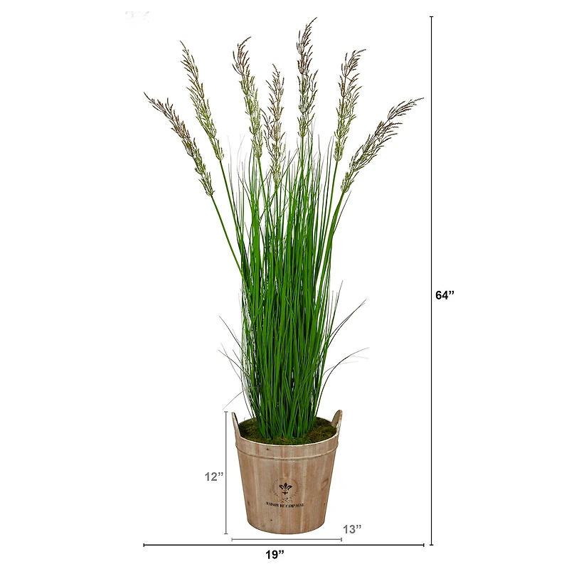 5.3ft. Wheat Grass Plant in Farmhouse Planter