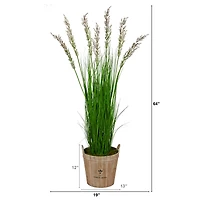 5.3ft. Wheat Grass Plant in Farmhouse Planter