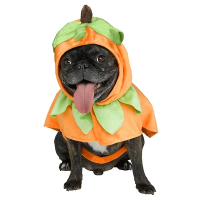 Pumpkin Dog Costume by Ashland®