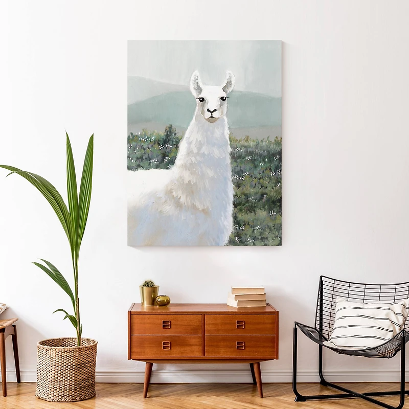 White Llama in Pasture 30" x 40" Canvas Wall Art