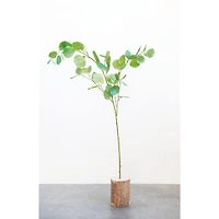 Hello Honey® Faux Eucalyptus Branch Set, 12ct.