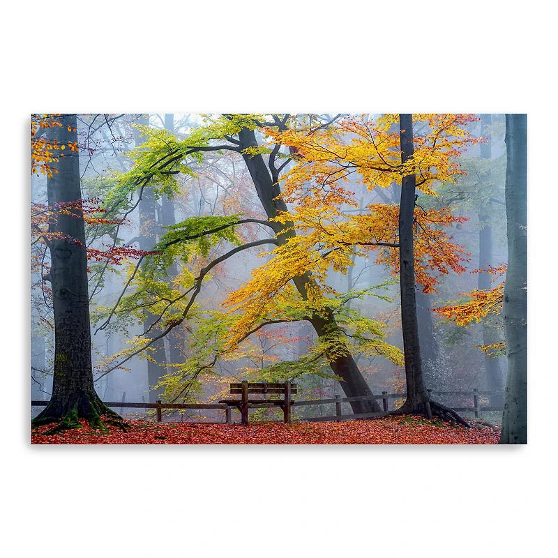 Take A Seat And Enjoy Canvas Giclee