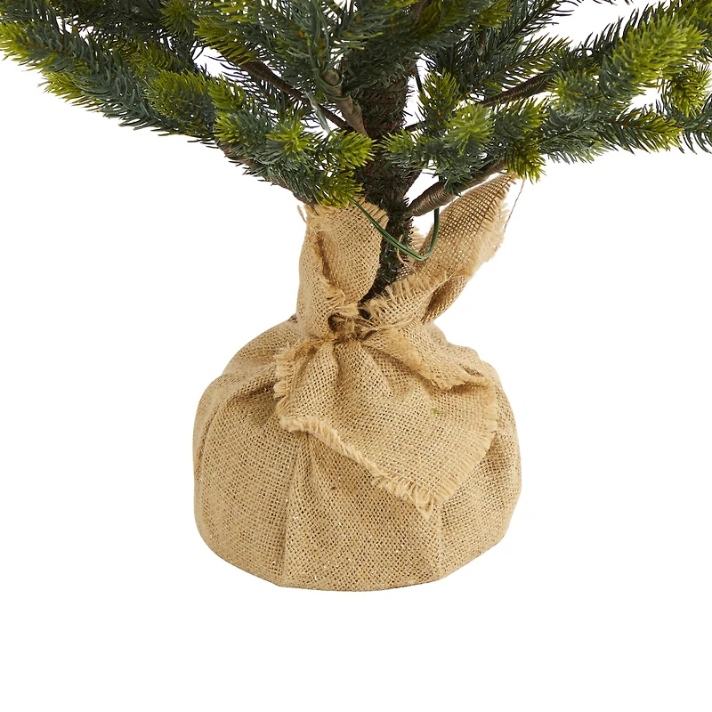 5ft. Pre-Lit Fraser Fir Natural Look Artificial Christmas Tree with Clear LED Lights