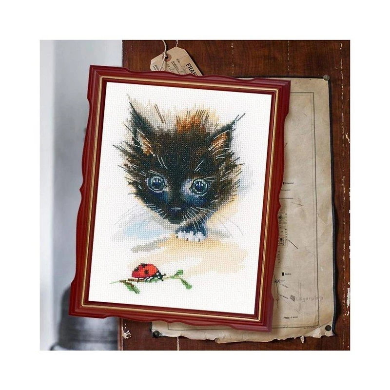 RTO Ladybug & Super Cat Cross Stitch Kit