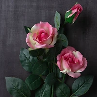 Mauve Sweetheart Rose Stem by Ashland®