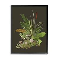 Stupell Industries Natural Forest Floor Mushrooms Ferns Framed Giclee Art