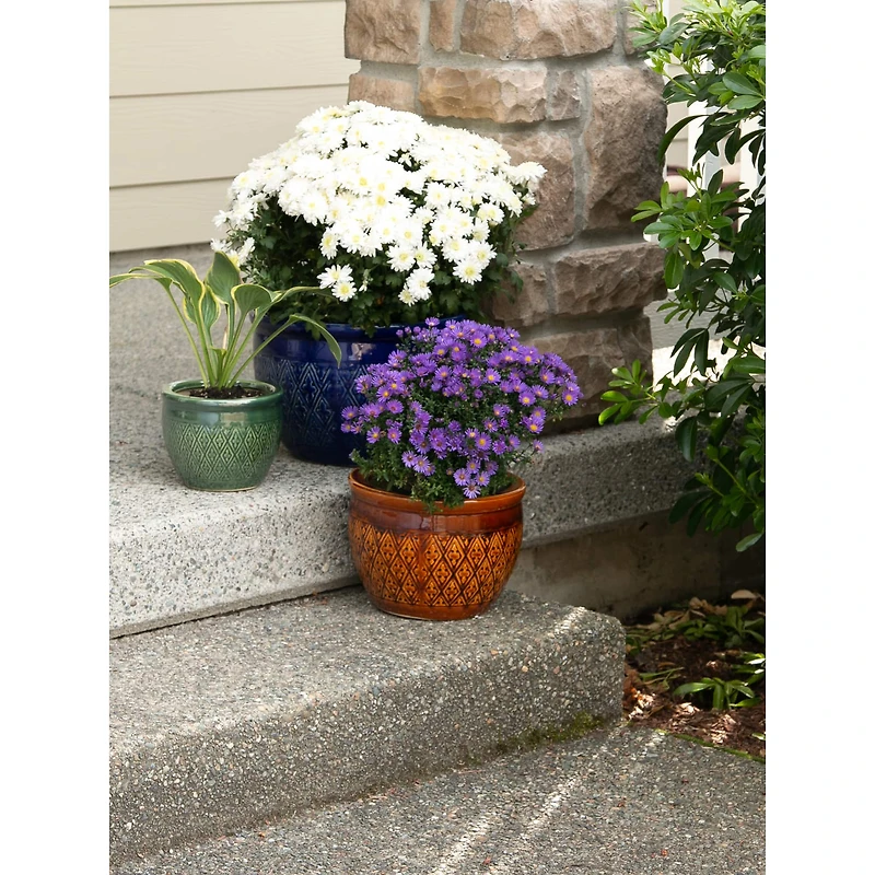 3 Jewel-Tone Flower Pot Set