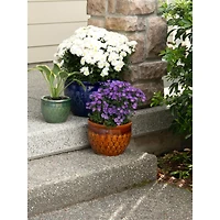 3 Jewel-Tone Flower Pot Set