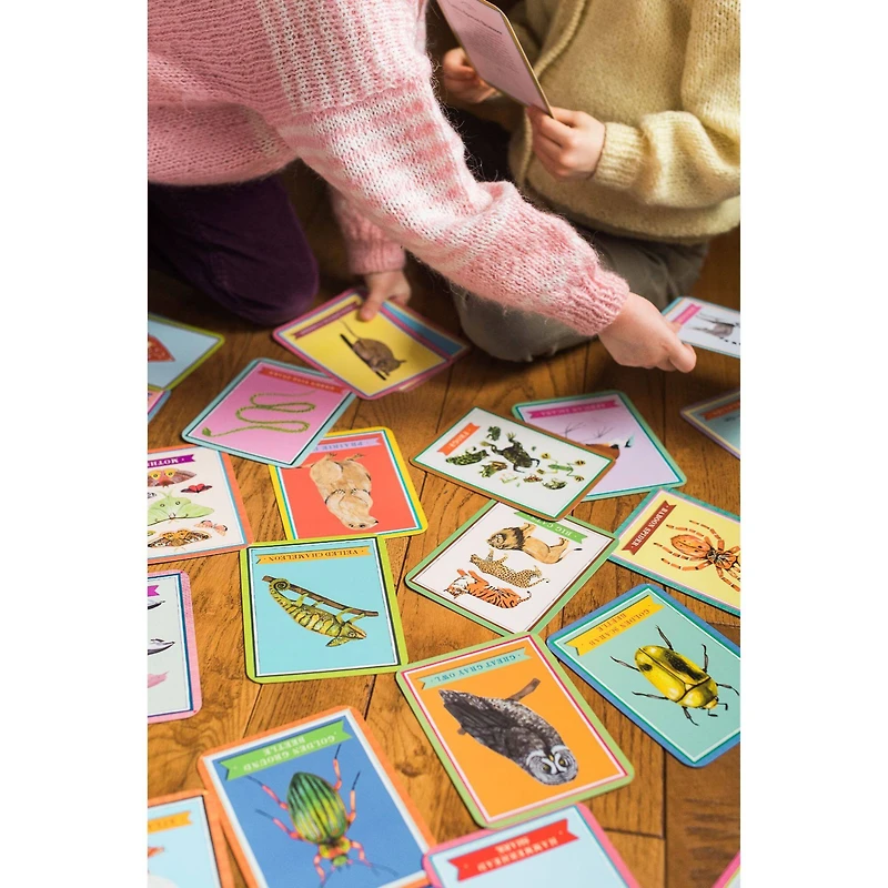 eeBoo Beautiful World Educational Flash Cards