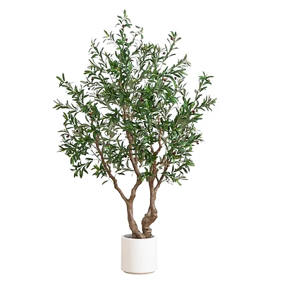 6ft. Artificial Grand Olive Tree in White Decorative Planter