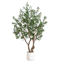 6ft. Artificial Grand Olive Tree in White Decorative Planter