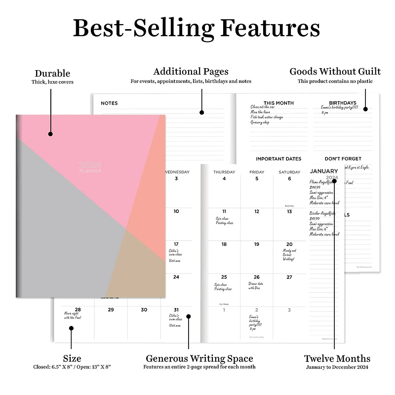 TF Publishing Medium 2024 Sherbet Shades Monthly Planner
