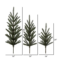 Green Deluxe Spruce Picks Set