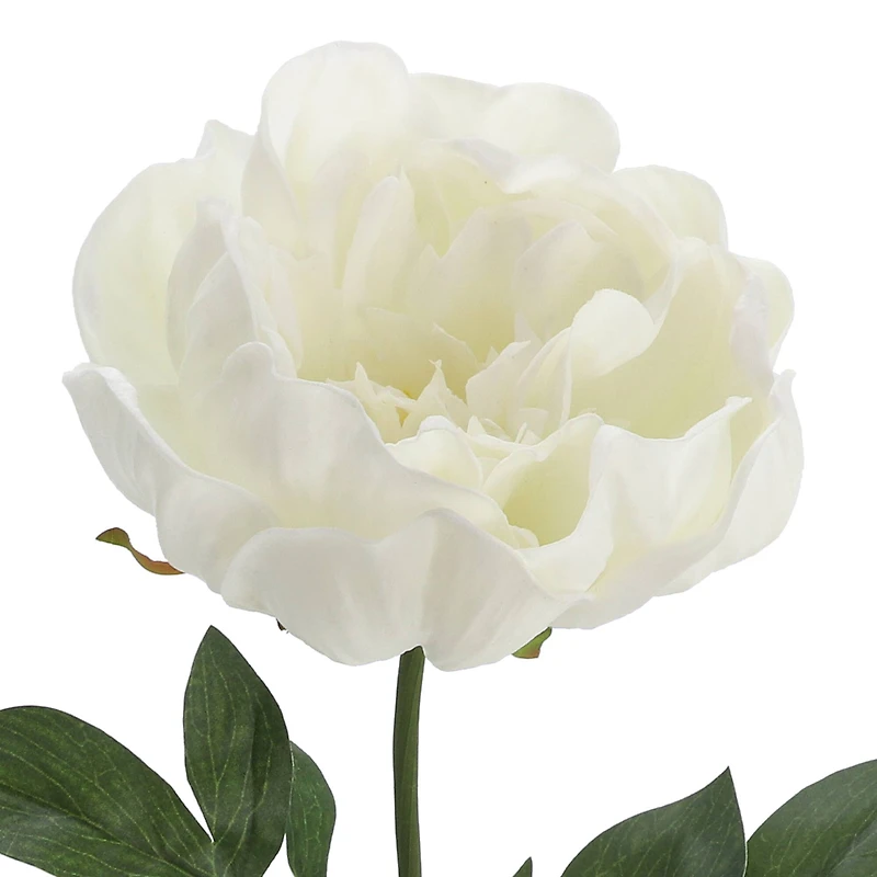 White Peony Stem by Ashland®