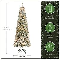 7.5ft. Pre-Lit Acacia Medium Flocked Artificial Christmas Tree, Clear Lights