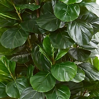 6ft. Potted Green Fiddle Leaf Fig Artificial Tree