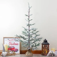 4ft. Unlit Frosted Pine Artificial Christmas Tree with Jute Base