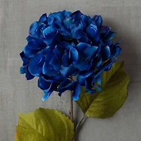 12 Pack: Navy Two-Toned Hydrangea Steam by Ashland®
