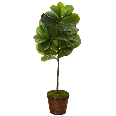 4ft. Fiddle Leaf Tree in Coiled Rope Planter