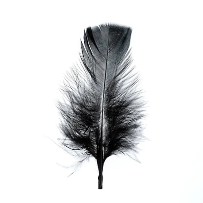 John Bead 4"-6" Marabou Feathers