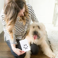 Pearhead Clean-Touch Ink Pad