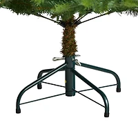 5ft. Pre-Lit North Carolina Spruce Artificial Christmas Tree, Clear Lights