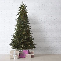 7.5ft. Pre-Lit Queensbury Fir Artificial Christmas Tree, Color Changing Cluster LED Lights