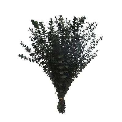 Dark Green Dried Eucalyptus Bundle by Ashland