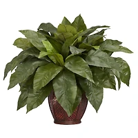 23'' Birds Nest Fern with Woven Brown Vase