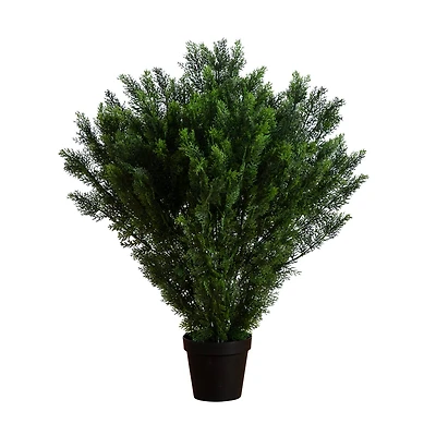 4ft. UV-Resistant Potted Cedar Bush