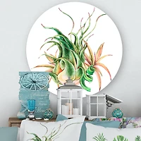 Designart - Tropical Leaves Air Plant Succulent