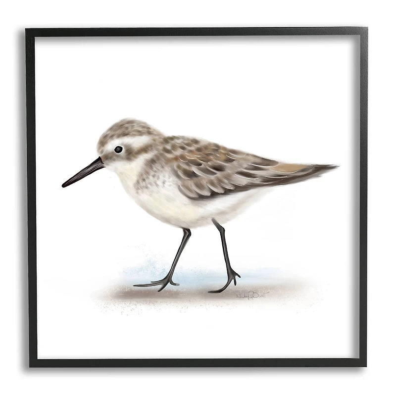 Stupell Industries Nautical Sandpiper Bird on Sand Speckled Feathers in Frame Wall Art