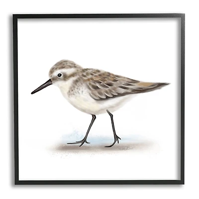 Stupell Industries Nautical Sandpiper Bird on Sand Speckled Feathers in Frame Wall Art