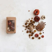 Hello Honey® Dried Natural Organic Pumpkin Shaped Mix