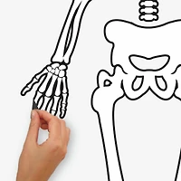 RoomMates Glow In The Dark Skeleton Peel & Stick Giant Decals