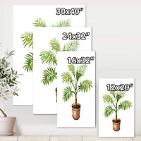 Designart - Palm In Clay Flowerpot