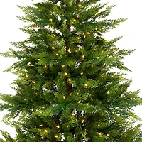 7.5ft. Pre-Lit Festive Fern Artificial Christmas Tree, Clear Lights